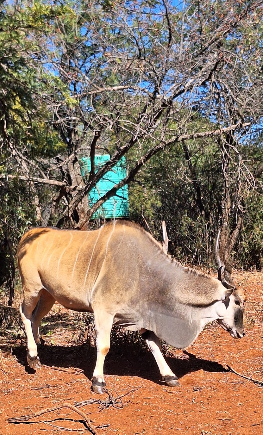 3 Bedroom Property for Sale in Rustenburg Rural North West